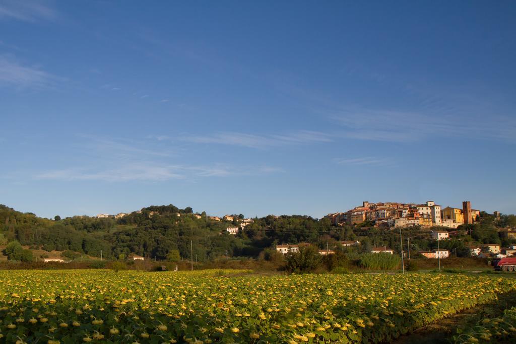 B&B Il Ramaiolo Santa Maria a Monte Екстер'єр фото