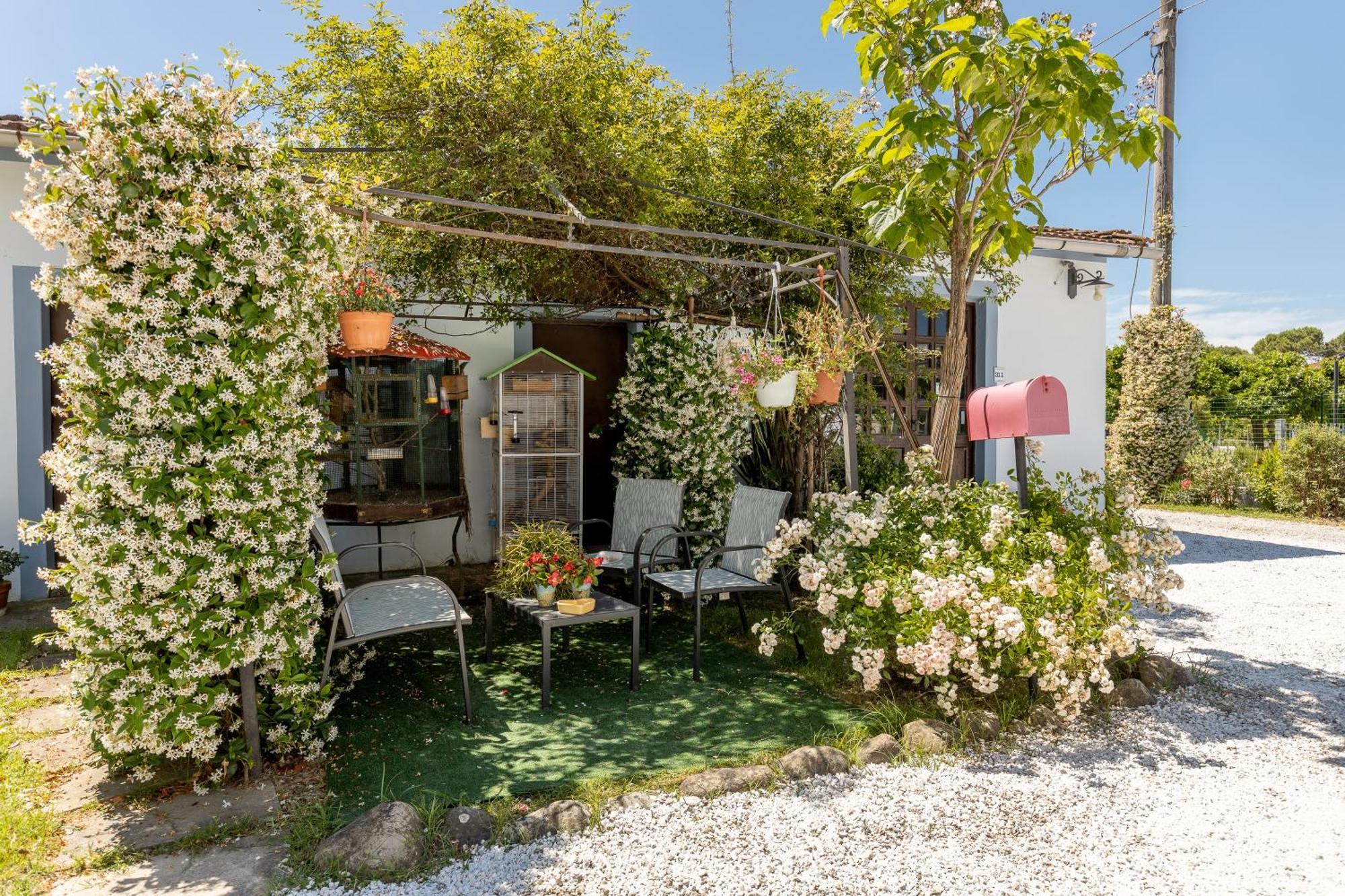 B&B Il Ramaiolo Santa Maria a Monte Екстер'єр фото